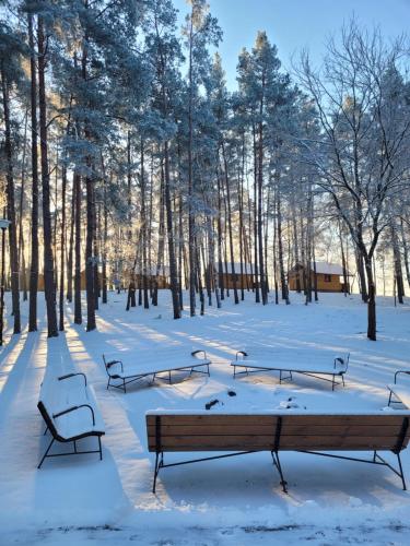 齐泽图霍尔斯凯Półwysep Lipa的一群长椅,被雪覆盖在公园里