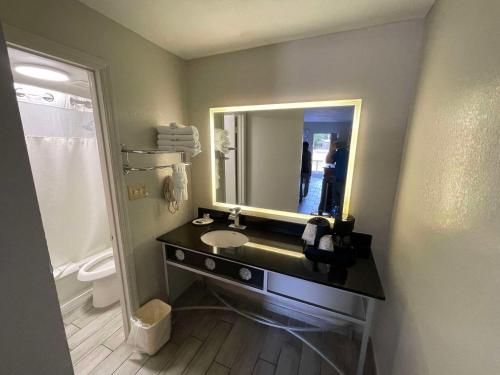 莱克威尔士Rodeway Inn - Lake Wales的一间带水槽和镜子的浴室