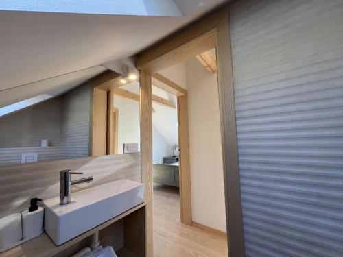 戈雷尼斯卡地区采尔克列Elipa Cottage的一间带水槽和镜子的浴室