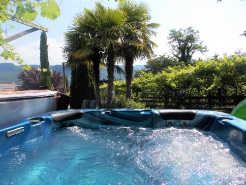 卡尔达罗St. Josefhof的棕榈树庭院内的大型小型游泳池