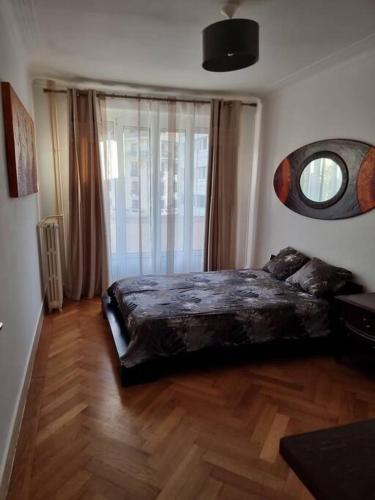 日内瓦Joli appartement aux Eaux Vives的一间卧室设有一张大床和一个窗户。