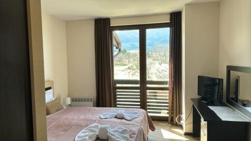 班斯科Alpine Lodge Bansko Apartments的一间卧室设有一张床和一个大窗户