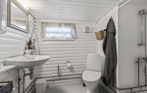 JægersprisAwesome Home In Jgerspris With Kitchen的白色的浴室设有卫生间和水槽。