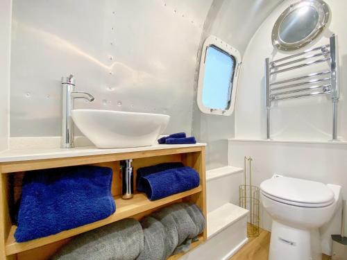 HawthornLanes End Farm Airstream的一间带水槽和卫生间的浴室