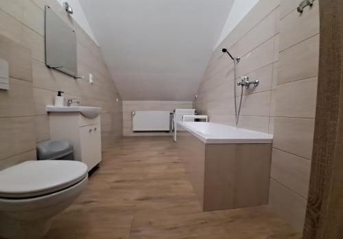 GraboszycePokoje Izabela - Noclegi Graboszyce - Zator的一间带卫生间和水槽的浴室