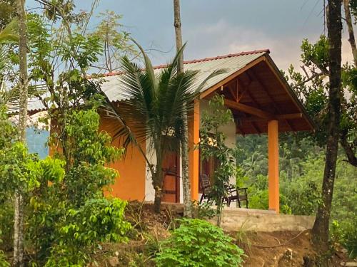 马特勒Sinharaja Cabana的森林中间的小房子