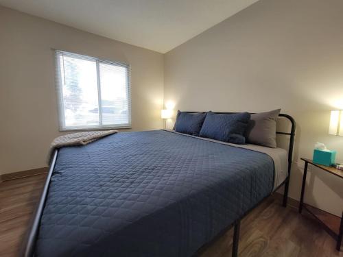 罗切斯特2 Bedroom 2 Bath Apartment Near Mayo, Park Free!的一间卧室配有一张带蓝色床单的大床和窗户。
