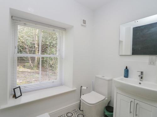 HolmrookDalegarth Hall Farm Cottage 2的白色的浴室设有卫生间和窗户。
