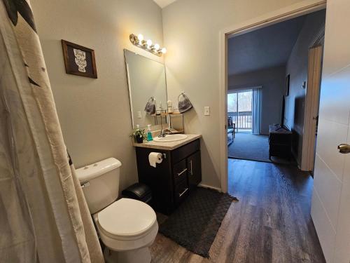 罗切斯特HUGE Apartment, 2 Bedroom, 2 Bathroom, Park Free的一间带卫生间、水槽和镜子的浴室