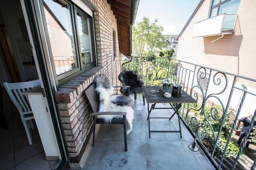 多尔马根Appartment 25 - Hotel Weilerhof的两只狗坐在一个窗外的阳台上