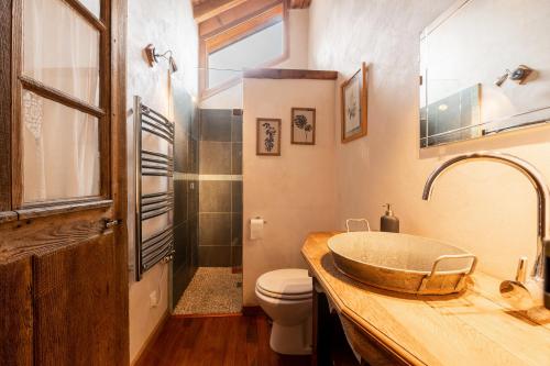 尚帕尼恩瓦努瓦茲Chalet Alouette的一间带水槽和卫生间的浴室