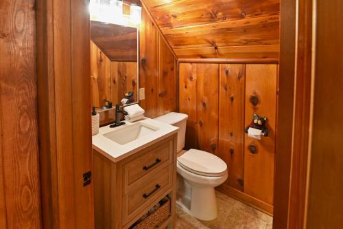 巴斯莱克Harris Lakeview Cabin的一间带卫生间和水槽的浴室