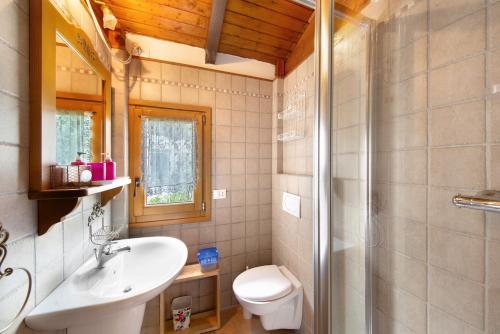 福尔诺迪佐尔多Orserose Chalet 1 La Bilancia的浴室配有卫生间、盥洗盆和淋浴。