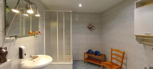 阿恩施塔特Ferienwohnung Wenzlaff的带淋浴、盥洗盆和卫生间的浴室