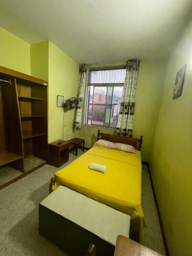 塔拉波托HOSPEDAJE GRAN PAJATEN的一间卧室设有黄色的床和窗户。
