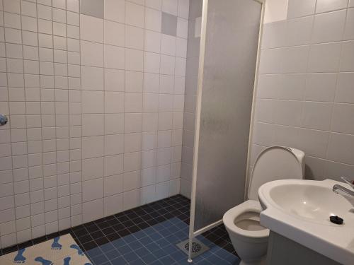 VolttiJääskän Loma, Kojolapark asunto 2的一间带卫生间和水槽的浴室