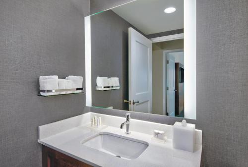 奥兰多Residence Inn by Marriott Orlando at FLAMINGO CROSSINGS Town Center的一间带水槽和大镜子的浴室