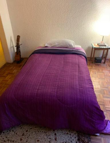 Bonita y Céntrica habitación con sofa cama客房内的一张或多张床位
