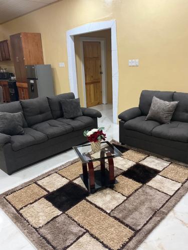 Fully Furnished 3 Bedroom - Shaveh Apartment Rentals