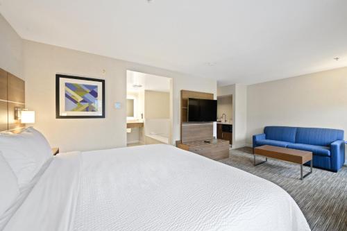萨里Holiday Inn Express and Suites Surrey, an IHG Hotel的酒店客房配有床、沙发和电视。