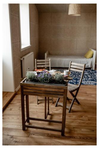 恩古雷Pērlerada room的客厅里设有植物桌子