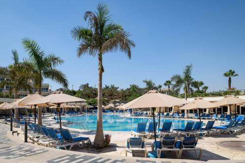 开罗开罗JW万豪酒店的一个带椅子和遮阳伞的游泳池以及棕榈树