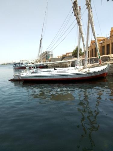 阿斯旺Ozzy Tourism的一艘帆船停靠在水中