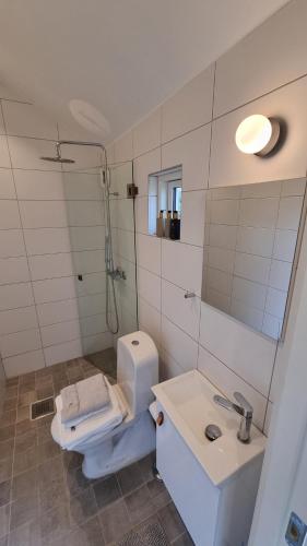 赫尔湾Beach-near cozy cottage的浴室配有卫生间、盥洗盆和淋浴。