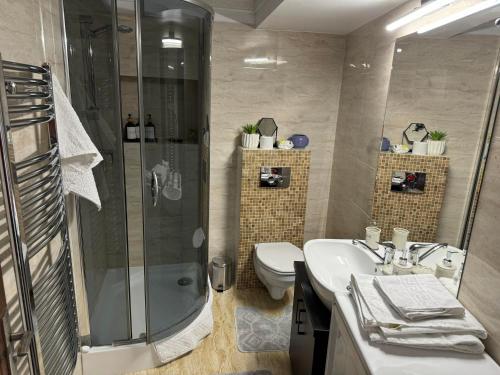 克卢日-纳波卡Pretty Luxury Apartament's的带淋浴、卫生间和盥洗盆的浴室