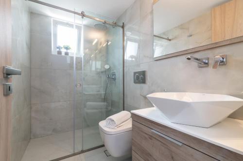 扎金索斯镇Swan Apartments的带淋浴、盥洗盆和卫生间的浴室
