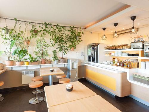 马孔梅肯北宜必思快捷酒店的墙上有盆栽植物的厨房
