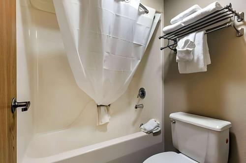 布兰森Ramada by Wyndham Branson Theatre District的浴室配有卫生间、浴缸和毛巾。