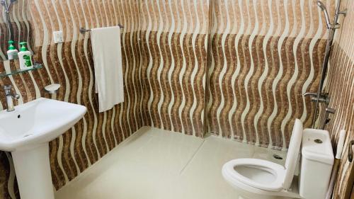 伊斯兰堡Serene Home Apartment (1-Bedroom)的一间带水槽和卫生间的浴室
