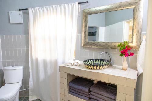Sere KundaAfro Garden Hotel的一间带水槽、镜子和卫生间的浴室