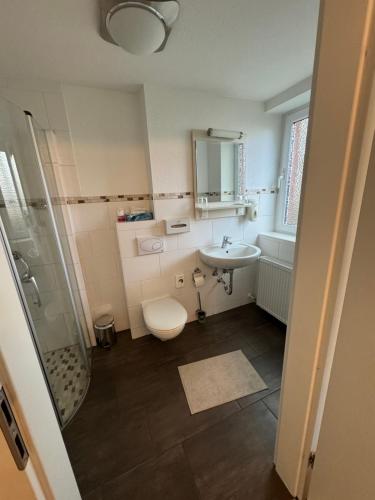 舍讷费尔德SkyPension的浴室配有卫生间、盥洗盆和淋浴。