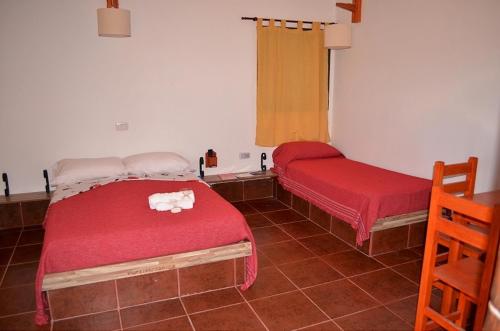 埃利萨镇Cabañas en La Gloria的一间设有两张红色床罩和窗户的房间