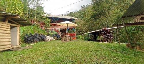 La PrimaveraCurigua Ecolodge-Sendero Cascada la milagrosa Buga的草地庭院旁的带雨伞的房子