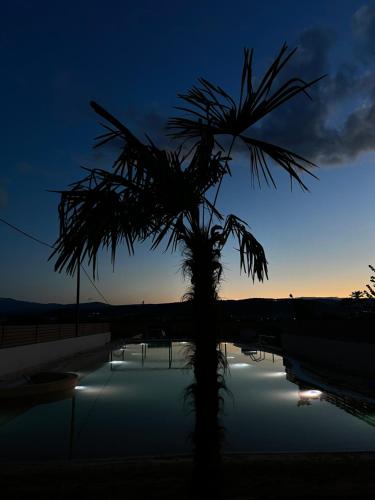 约阿尼纳阿尼莫利亚温泉度假酒店 的日落前的棕榈树
