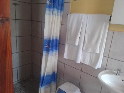 鲸湾港FEATHERS INN GUEST HOUSE的浴室配有淋浴帘和盥洗盆。