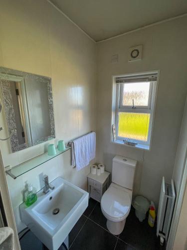 TamnyrankinValley View 1 (Tourist board registered)的浴室配有白色卫生间和盥洗盆。