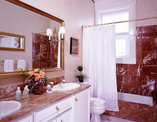 旧金山玛吉斯迪克酒店的浴室配有卫生间、盥洗盆和淋浴。