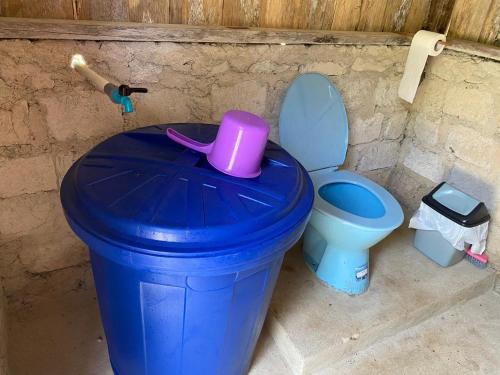 BesirINDOS HOMESTAY的蓝色的垃圾罐,靠近蓝色的厕所