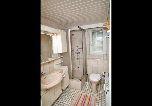 迈内尔茨哈根Schöne Unterkunft mit Billard的浴室配有卫生间水槽和淋浴。