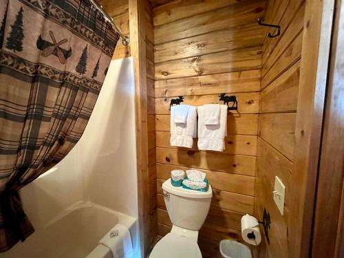 沃尔Badlands Frontier Cabins的一间带卫生间和浴缸的浴室