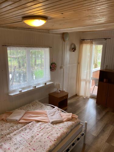 KrólewoBrzozowy zakątek的一间卧室设有一张床和一个窗口