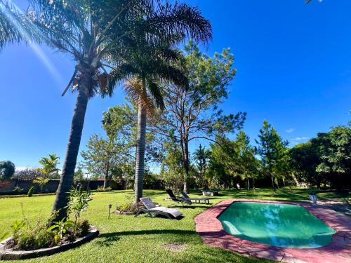 KitweSummerfields & Gardens Lodge的棕榈树公园内的游泳池