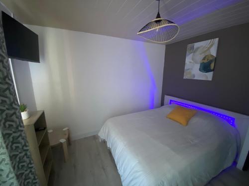 阿格德角Studio Centre Port avec piscine résidence Port Richelieu的一间卧室配有一张紫色光床