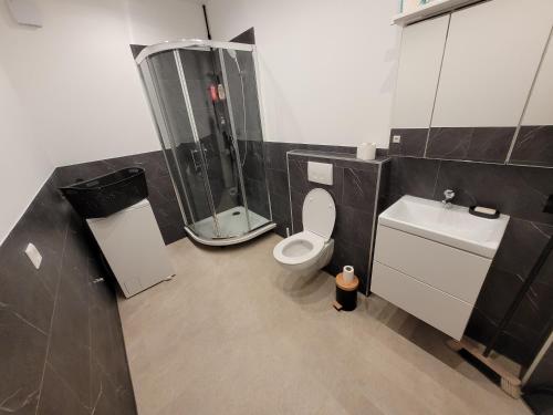 阿尔布斯塔特Loft Apartment am Bahnhof的带淋浴、卫生间和盥洗盆的浴室