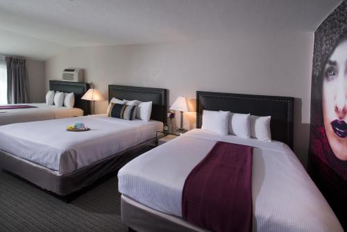 伊利斯酒店 - 使命谷圣地亚哥动物园海洋世界客房内的一张或多张床位
