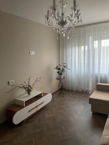 希奥利艾Comfort home Šiauliai的客厅配有吊灯和沙发